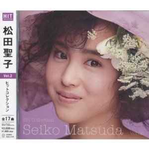 夢中になった女性芸能人