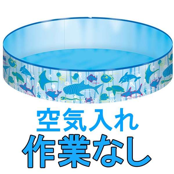 自宅でプールしていますか？