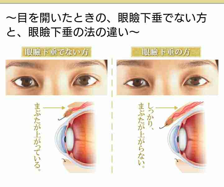 自分の顔面レベルを知りたい