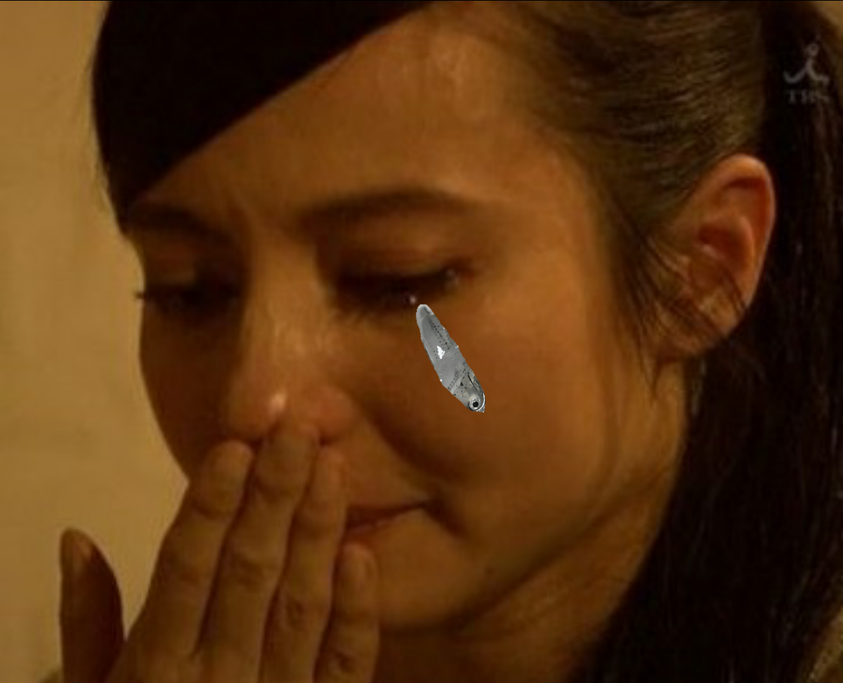 復帰したベッキーのインスタグラムが「矢口真里化！」