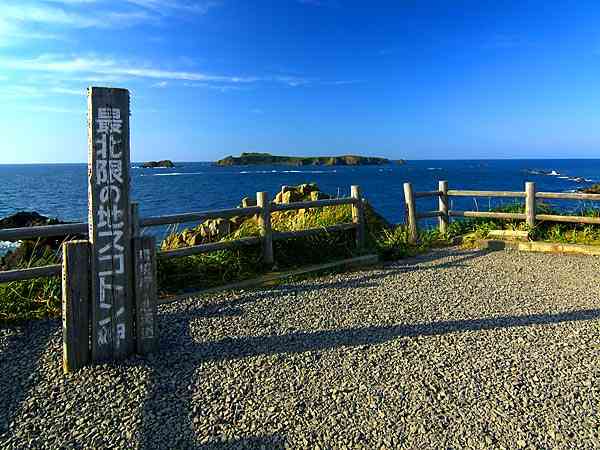 スマホ撮影に驚いた母が逃げ、トドの赤ちゃん死んだ (北海道)
