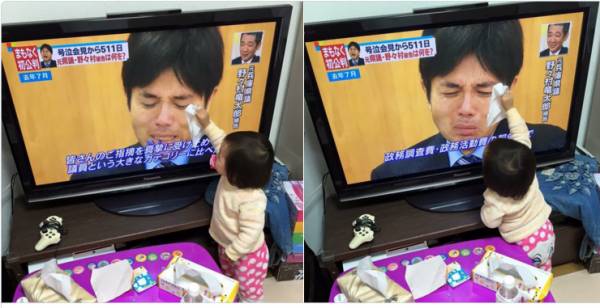 目と心を洗うトピ