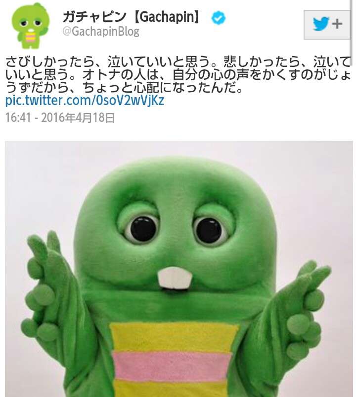 目と心を洗うトピ