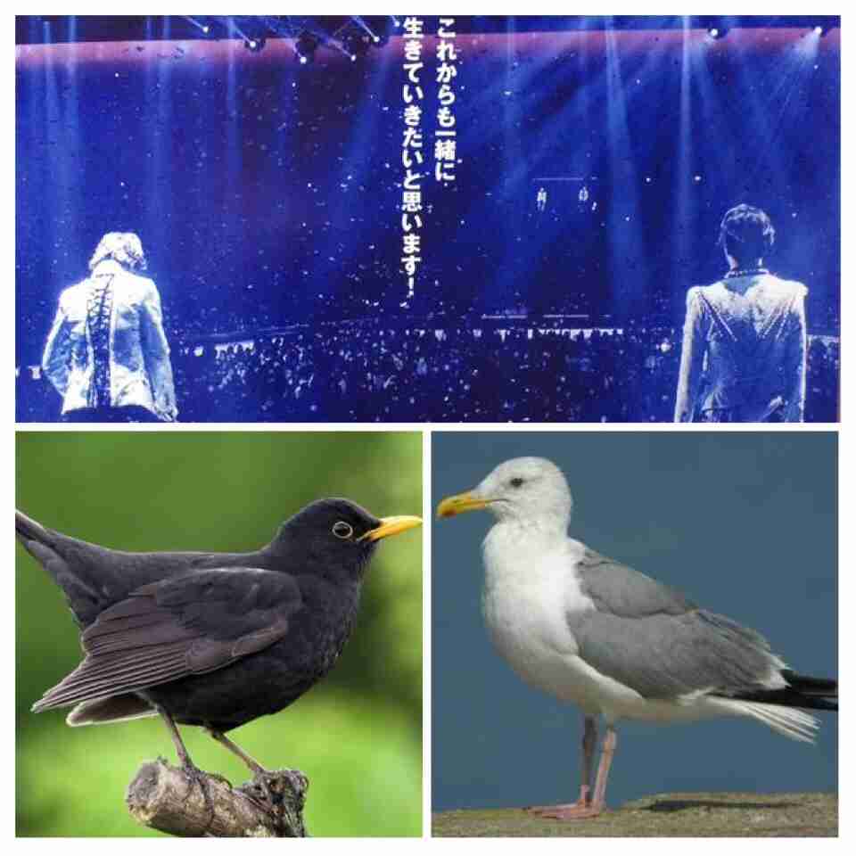 KinKi Kidsを語ろう☆Part2