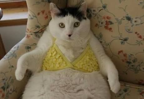 巨乳にしすぎて後悔した女性、仕事への影響恐れ減胸には踏み切れず。