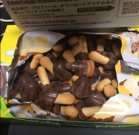 飲食店での異物混入経験ありますか？