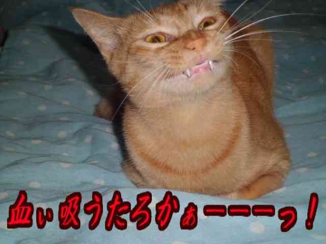 血を見るのが苦手な人