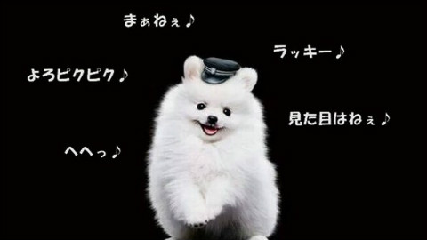 最近イラっとした事！