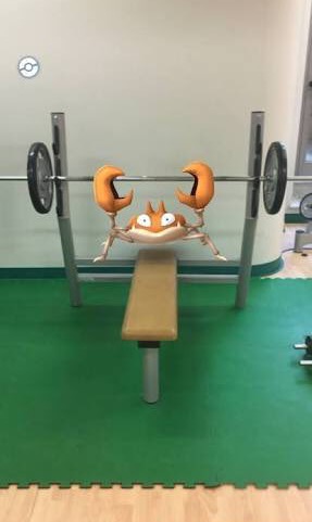 『ポケモンGO』をプレイしてる方専用トピ