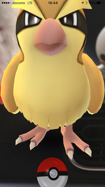 『ポケモンGO』をプレイしてる方専用トピ