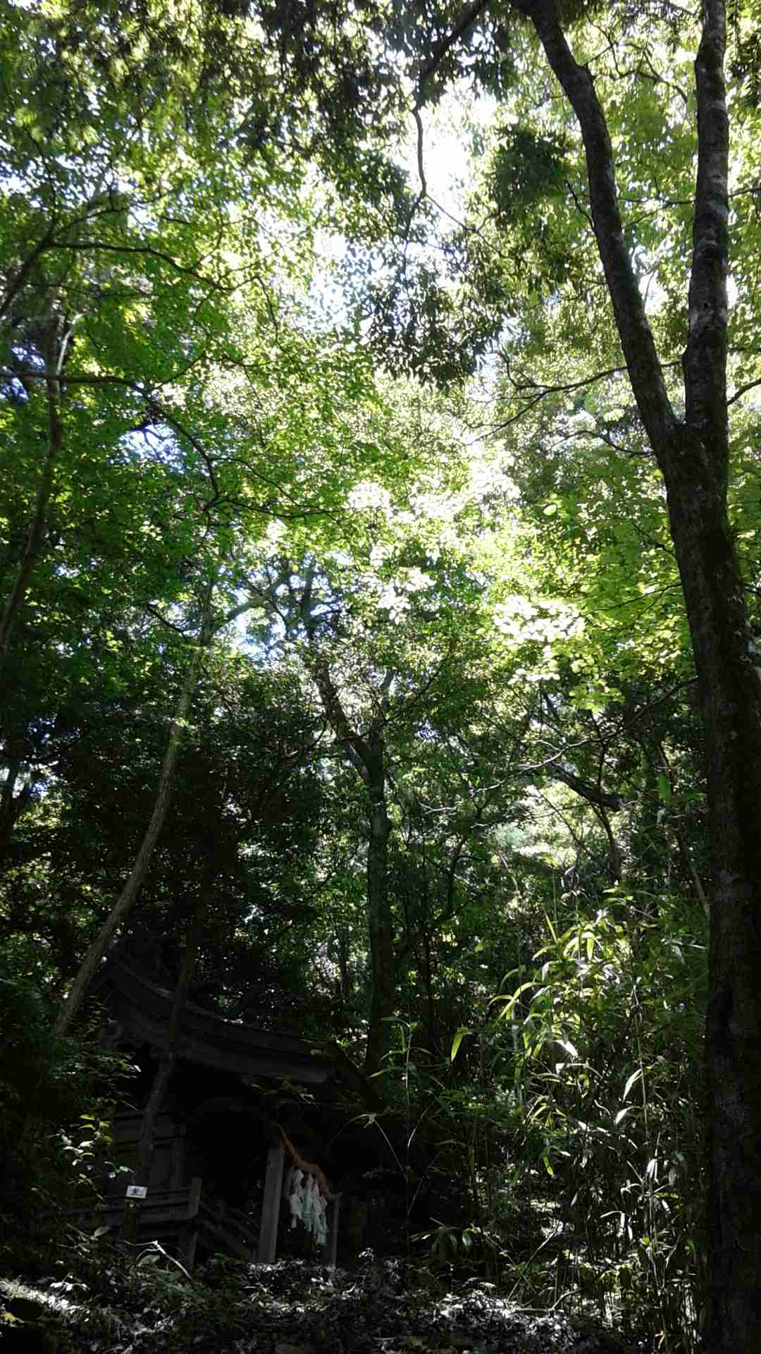 朝焼け、日の出の画像ください