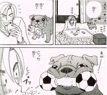 アニメ化してほしい漫画・小説