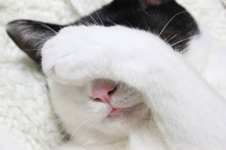 見て見ぬふりをした経験