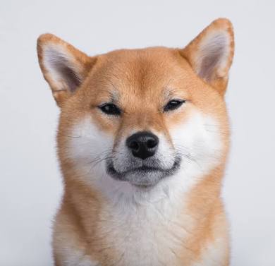 あの人が、ガルちゃんを読んで言った一言は?