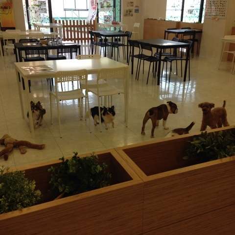 保護犬・猫を飼われている方
