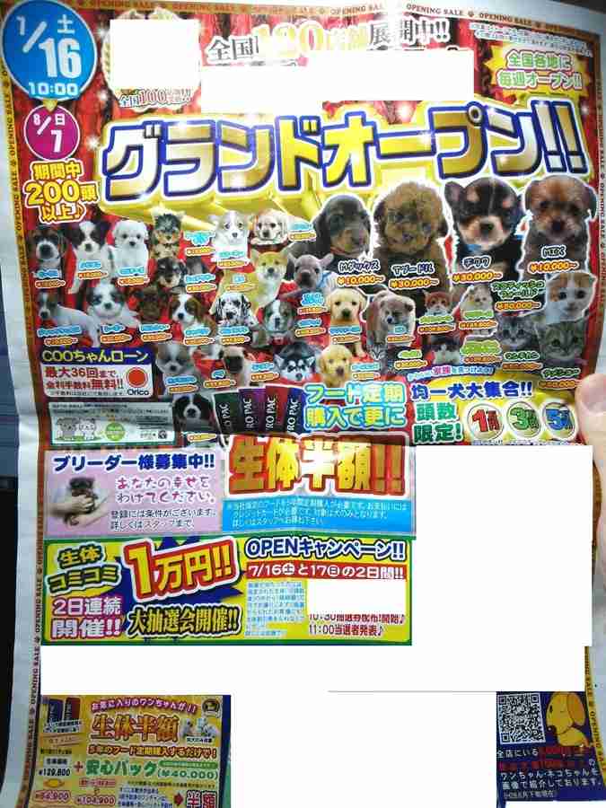 保護犬・猫を飼われている方