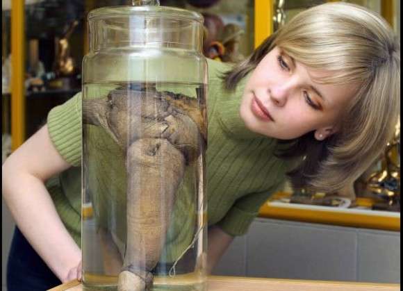 女の武器はわかるけど男の武器って