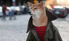 女の武器はわかるけど男の武器って