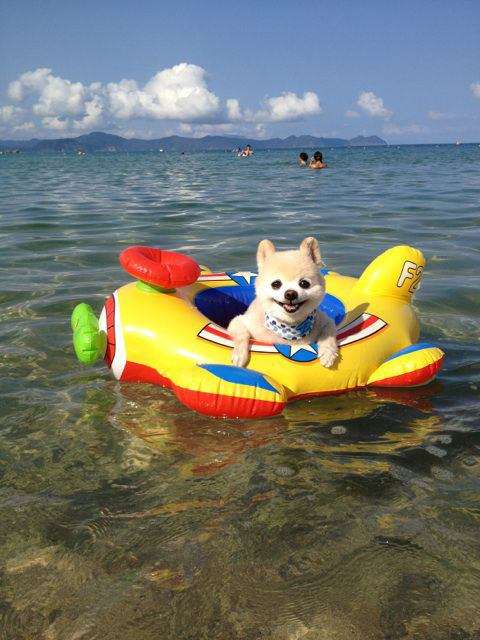 【今日は海の日】海と有名人の画像を貼るトピ