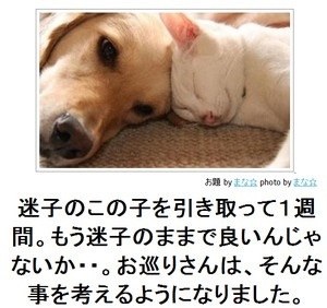 他のトピに疲れたら休憩するトピPart4