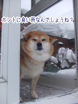 他のトピに疲れたら休憩するトピPart4