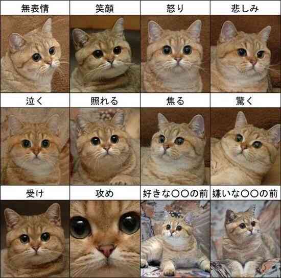 他のトピに疲れたら休憩するトピPart4