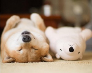 他のトピに疲れたら休憩するトピPart4