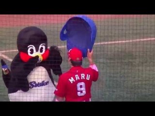 球団マスコットと選手がじゃれてる画像下さい！