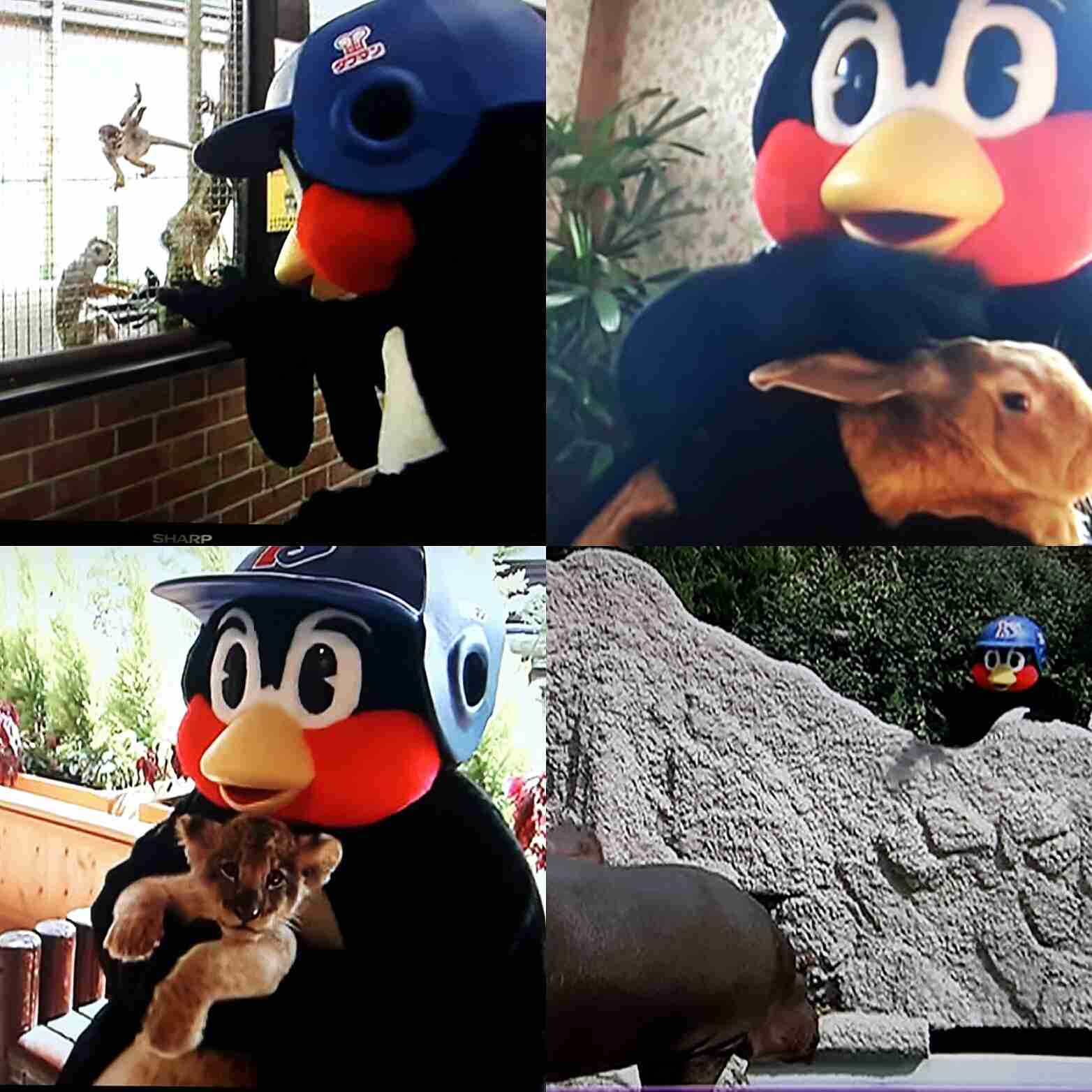 球団マスコットと選手がじゃれてる画像下さい！