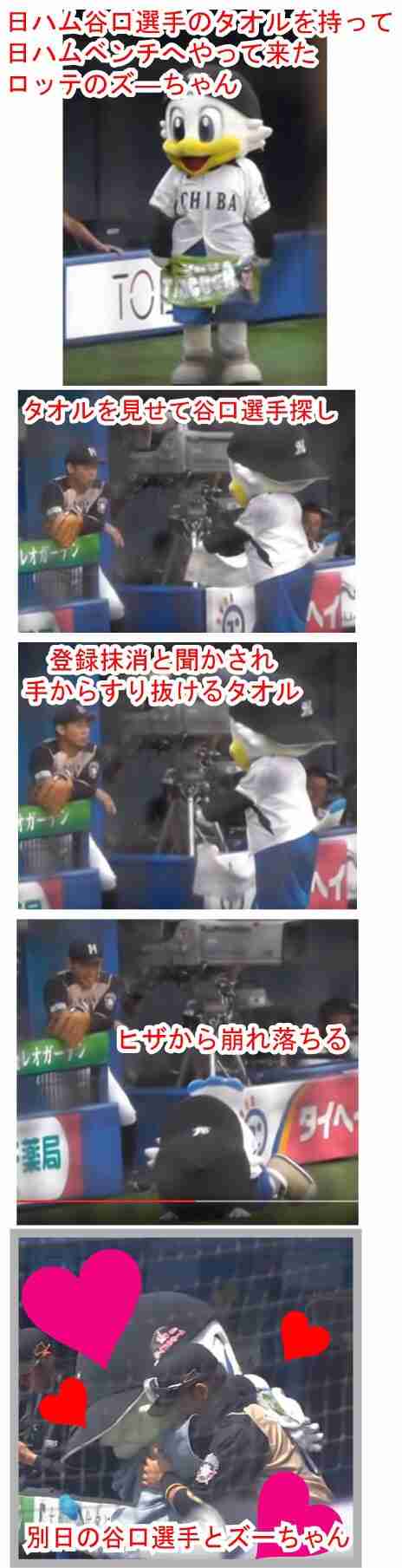 球団マスコットと選手がじゃれてる画像下さい！
