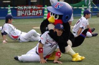 球団マスコットと選手がじゃれてる画像下さい！