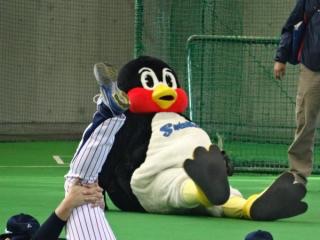 球団マスコットと選手がじゃれてる画像下さい！