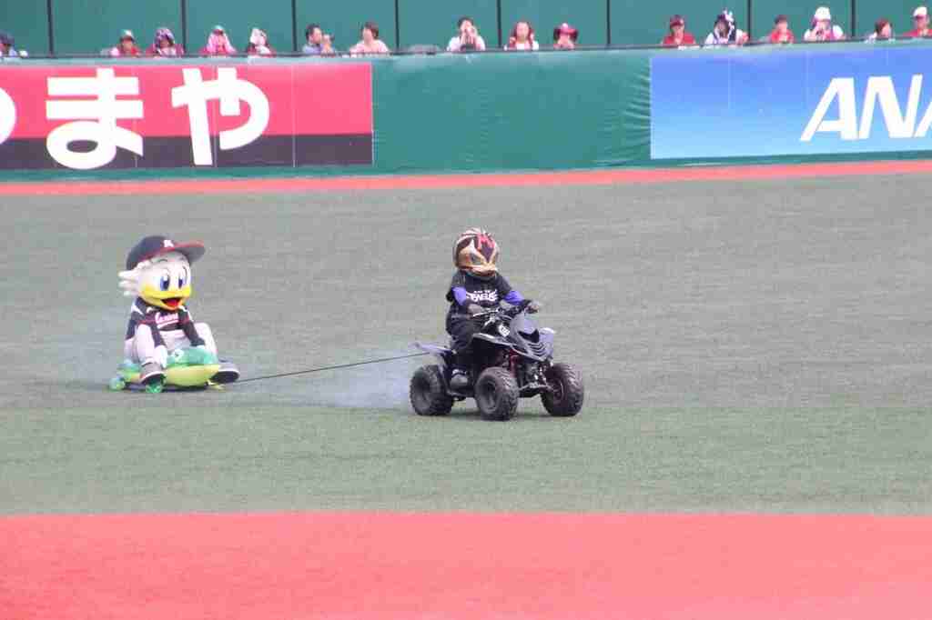 球団マスコットと選手がじゃれてる画像下さい！