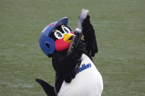 球団マスコットと選手がじゃれてる画像下さい！