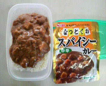 助けて下さい！！夏 丼 弁当レシピ