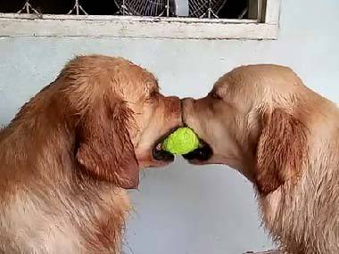 好きなキスシーンありますか?