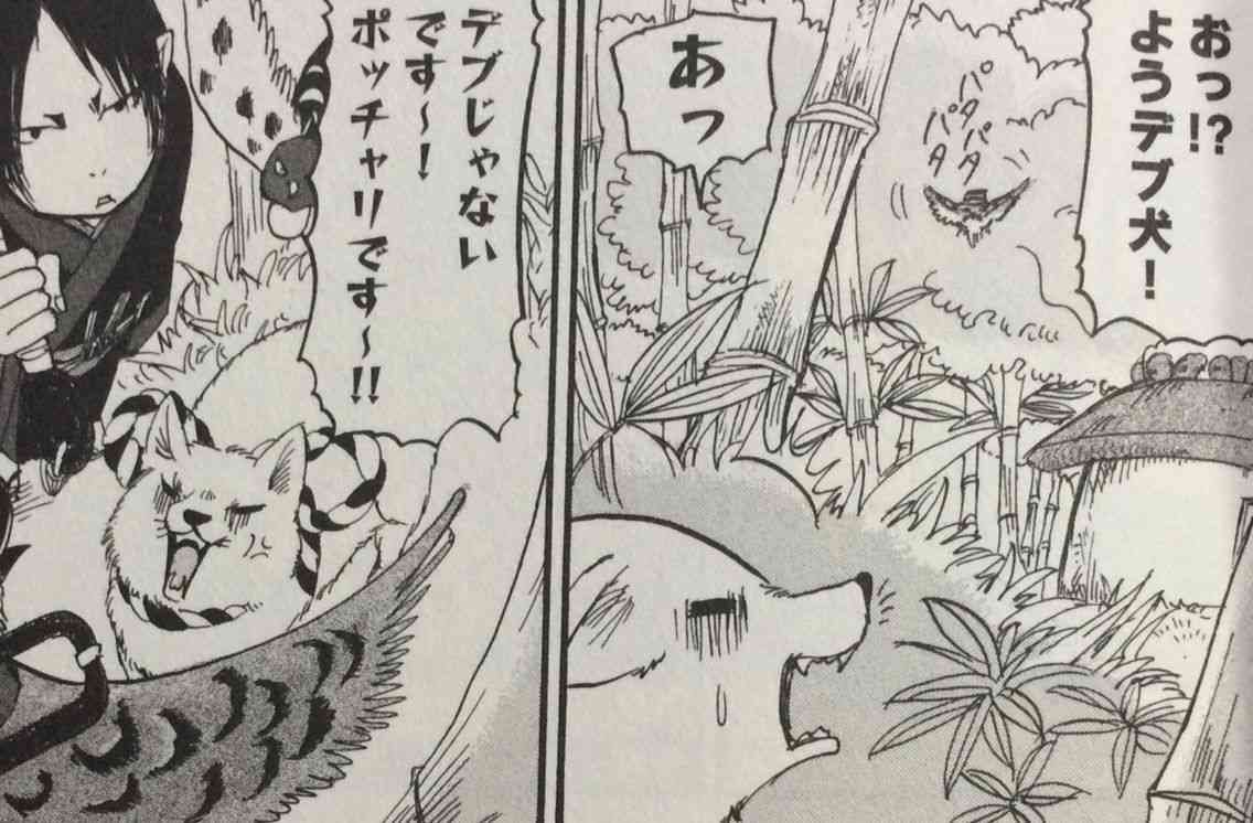 自称ぽっちゃりからデブへ移行中のひと！