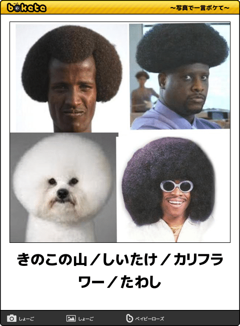 「きのこの山」が“山の日”に便乗！「きのこの山の日」を制定