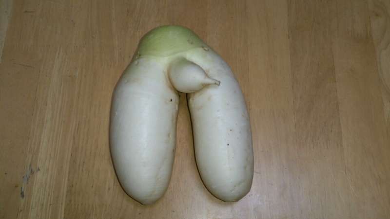 不幸自慢しましょう。