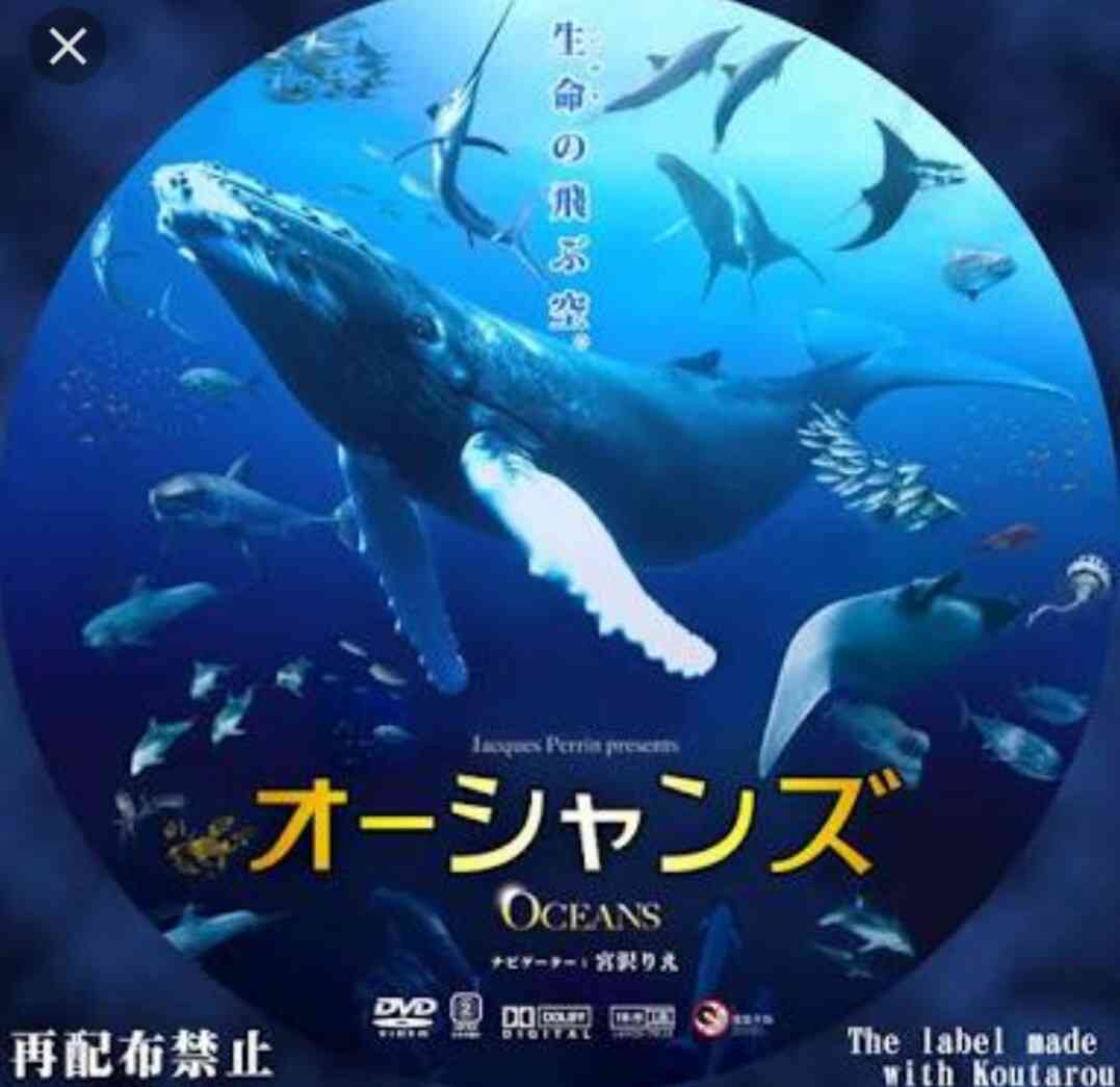 最近レンタルしたDVDやCD