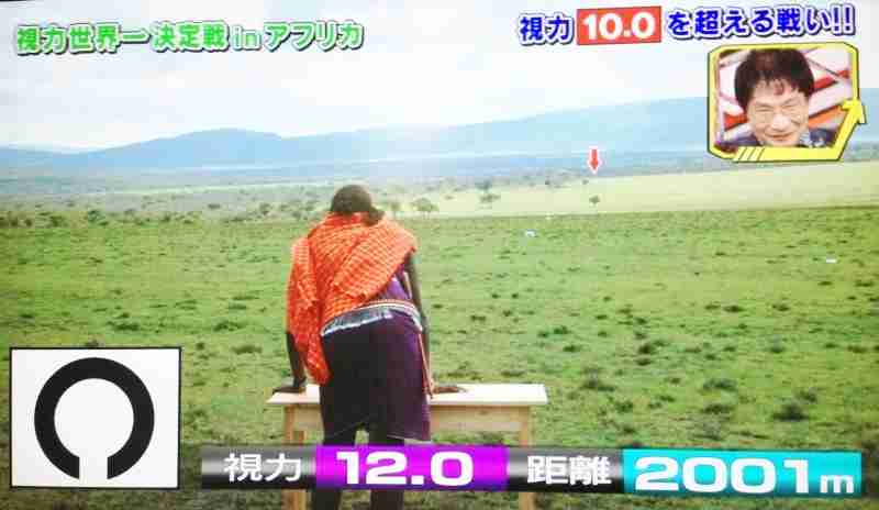 疲れ目対策ありますか? (ФωФ)ニャー