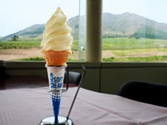 今まで食べた中で1番美味しかったソフトクリーム