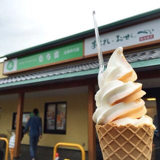 今まで食べた中で1番美味しかったソフトクリーム