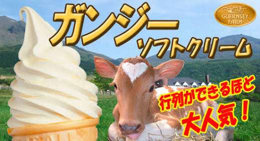 今まで食べた中で1番美味しかったソフトクリーム
