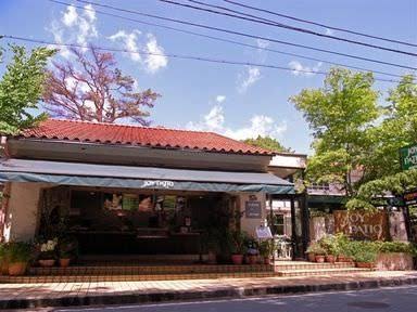 今まで食べた中で1番美味しかったソフトクリーム