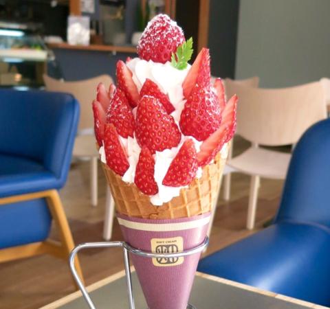 今まで食べた中で1番美味しかったソフトクリーム