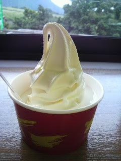 今まで食べた中で1番美味しかったソフトクリーム