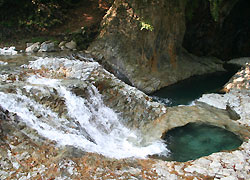 他県民だけど好きな都道府県