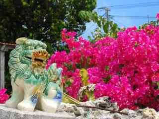 他県民だけど好きな都道府県