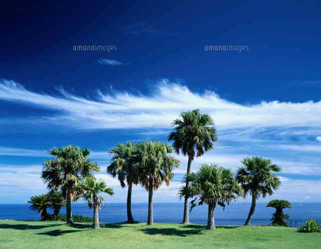 他県民だけど好きな都道府県